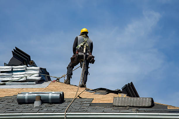 Professional Storm Damage Roof Repair technician working in Phillipsport, NY